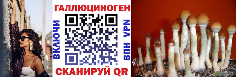 Галлюциногенные грибы мухоморы  магазин продажи наркотиков  МЕГА ССЫЛКА  Печора 